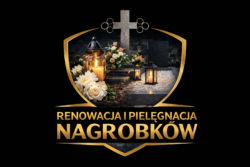 profesjonalnemycienagrobow.pl